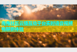 海角社区云播互动平台实时语音视频畅聊新体验
