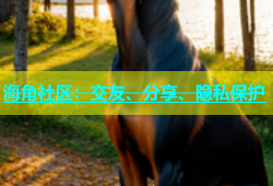 海角社区：交友、分享、隐私保护