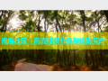 海角社区：高清视频分享与追剧平台