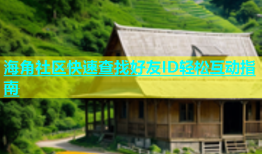 海角社区快速查找好友ID轻松互动指南