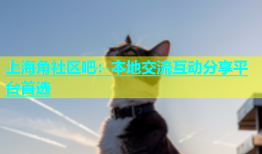 上海角社区吧：本地交流互动分享平台首选