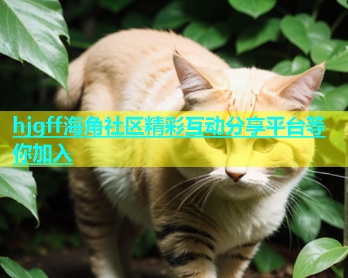 hjgff海角社区精彩互动分享平台等你加入