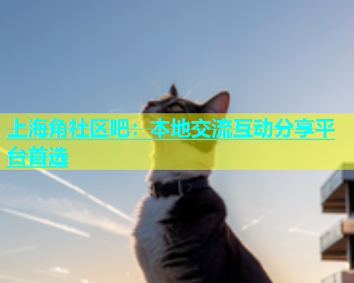 上海角社区吧：本地交流互动分享平台首选